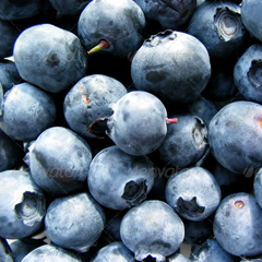 电话在线轰炸网页版