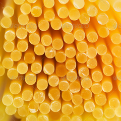 网页免费发手机号