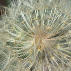 电话在线轰炸网页版