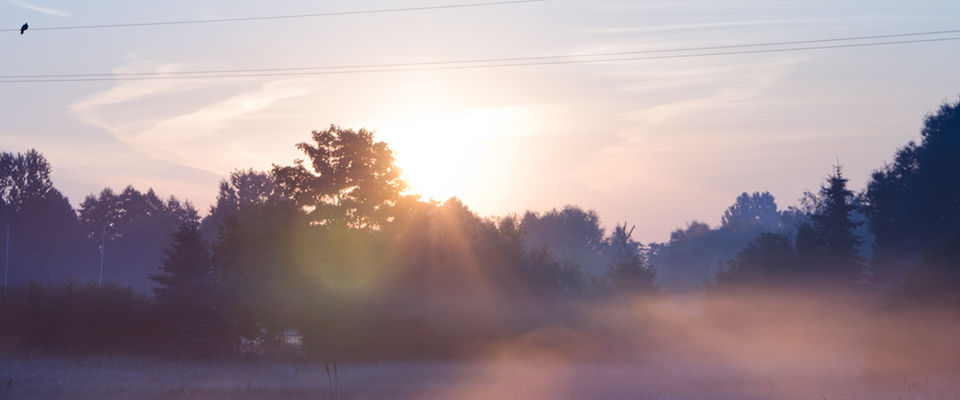 短信狂轰滥炸软件